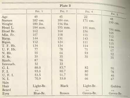Plate 8